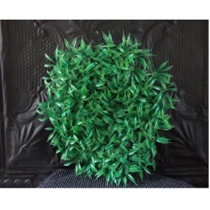 Green Grass
